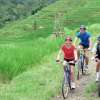 Jatiluwih-Cycling-600×450