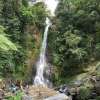 Lovina Dolphin Waterfall Ulun Danu and Ubud Tour 6