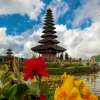 Lovina Dolphin Waterfall Ulun Danu and Ubud Tour 8