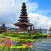 Lovina Dolphin Waterfall Ulun Danu and Ubud Tour 9