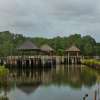 Mangrove Forest Bali Canoe Eco Tour 1