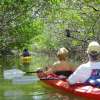 Mangrove Forest Bali Canoe Eco Tour 6