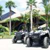 baliatvjuglebuggy10-600×450