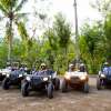 baliatvjuglebuggy6-600×450