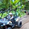 baliatvjuglebuggy7-600×450
