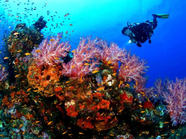 Nusa-Dua-Dive1