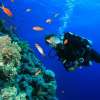 Nusa-Dua-Dive8