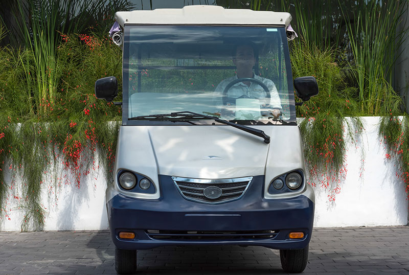 The-Layar-Buggy-1