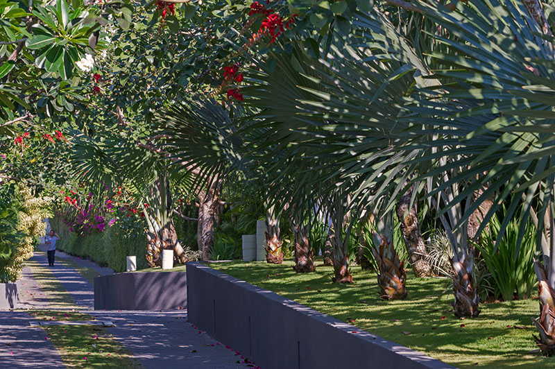 The-Layar-Staff-walking-1