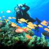 padangbaidive10