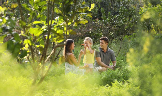 padma-resort-ubud 18