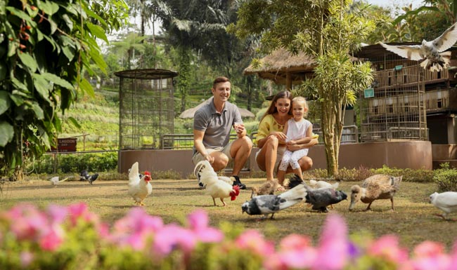 padma-resort-ubud 20