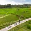 padma-resort-ubud 31