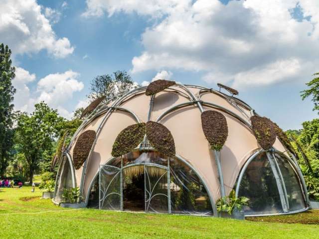 Bogor Botanical Garden Tour from Jakarta-4