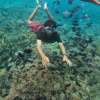 Gili-Kondo-Snorkel