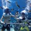 gilitrawanganseawalker3-e1560216295882