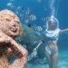 gilitrawanganseawalker6-e1560216172436