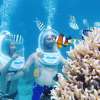 gilitrawanganseawalker7