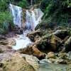 kembang-soka-uddinesia