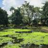 taman-narmada-3