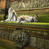 Screenshot_7