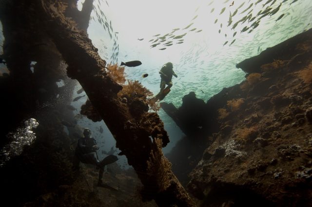 Diving-Tulamben korina