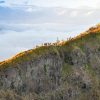 Korina-Mount-Batur 1