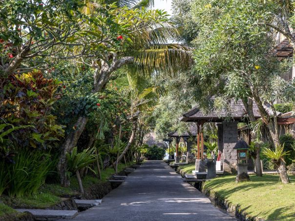 visesa ubud 36