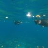 DCIM106GOPROGOPR0507.JPG