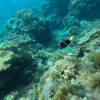 DCIM106GOPROGOPR0412.JPG