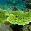 DCIM106GOPROGOPR0418.JPG