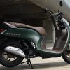 SCOOPY
