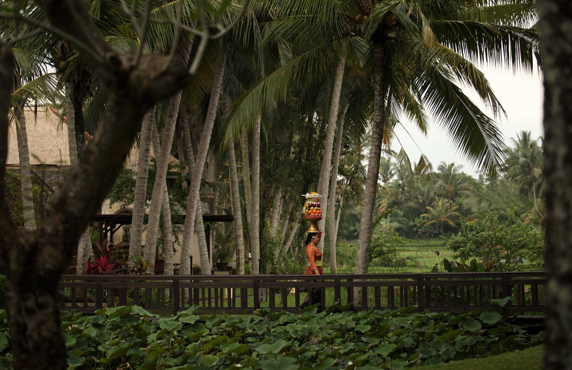 theubudvillage 8