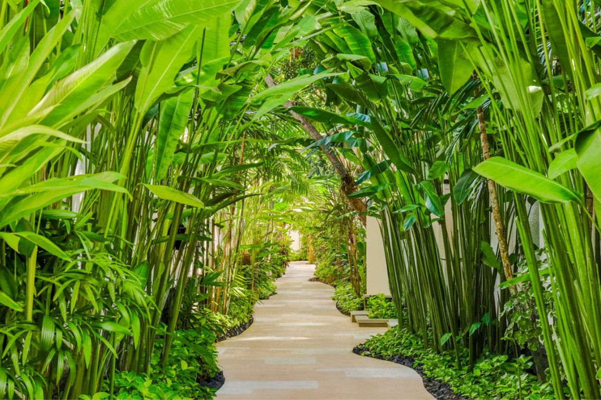 pathway