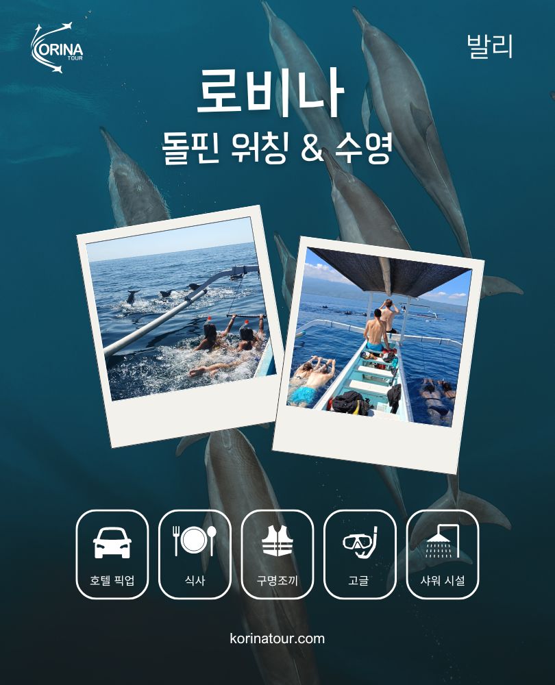 발리 로비나 돌핀 워칭 & 수영 - 코리나투어 - 발리 자유여행 및 풀빌라 전문 여행사