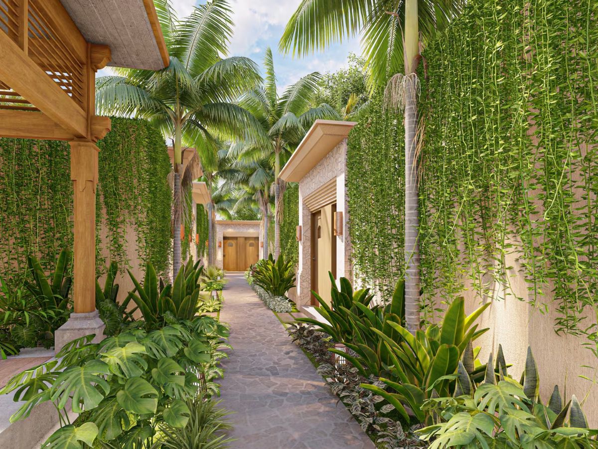 paradisus exterior (9)