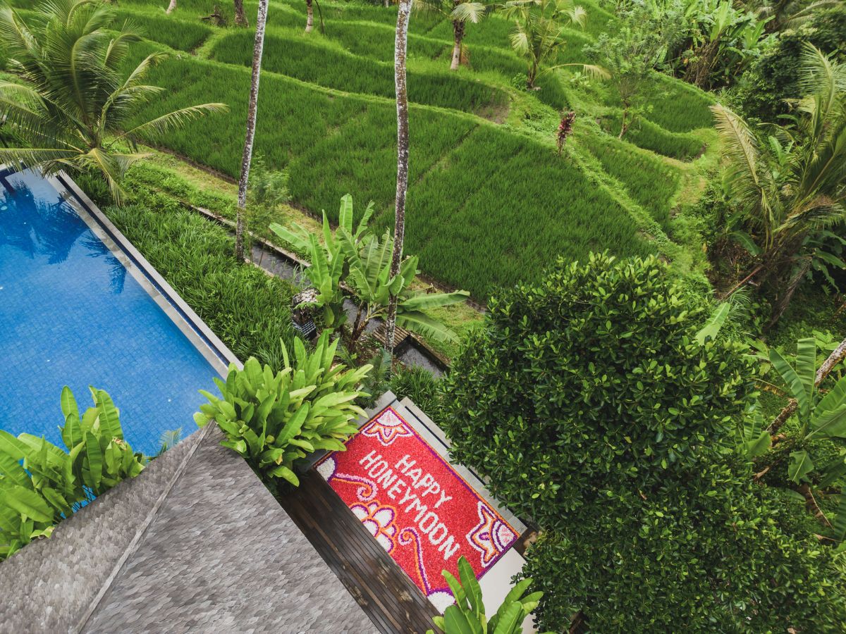 Grand 1BR with provate pool (11)