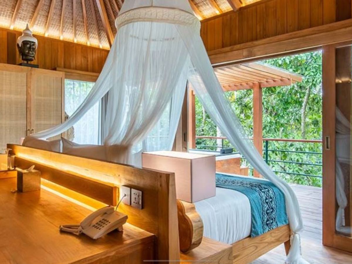 jungle suite